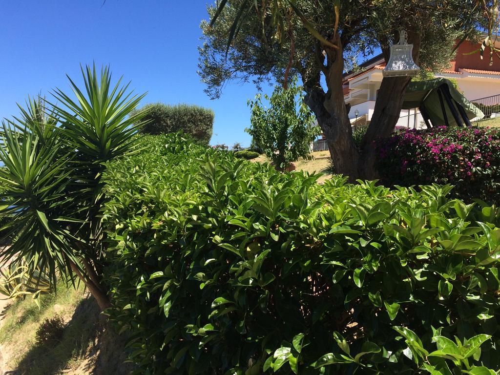 Villa Del Conte Drapia Dış mekan fotoğraf